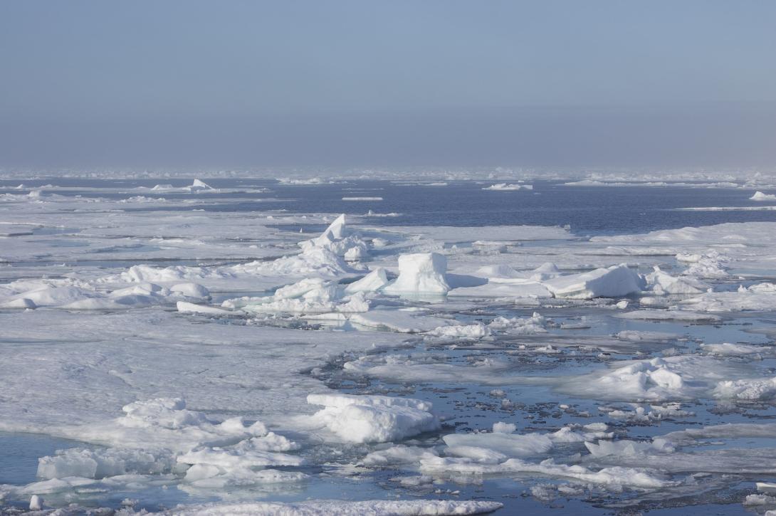 International Polar Year
