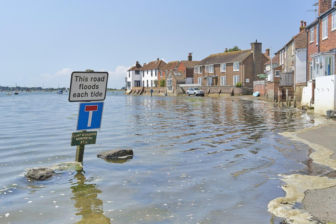 Hazards and Pollution