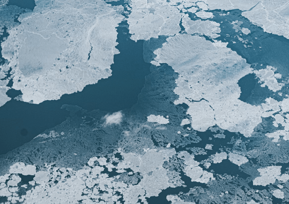 An Arctic Strait of Two Halves: The Changing Dynamics of Nutrient Uptake and Limitation Across the Fram Strait, Global Biogeochemical Cycles, Published 2021
